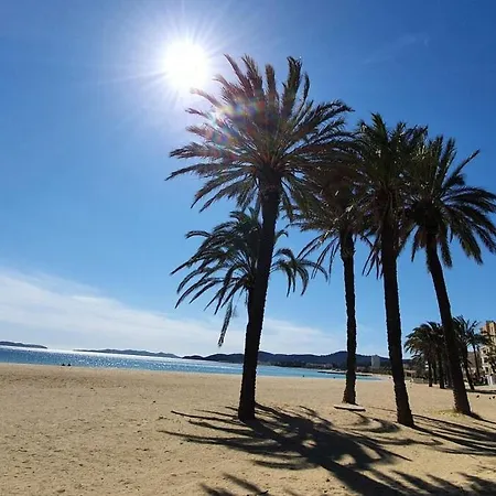 Rooftop Du Lavandou - Terrace&pool Appartement *